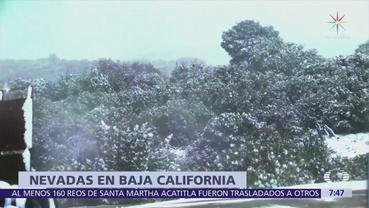Cuarta tormenta invernal provoca nuevas nevadas en el norte de México