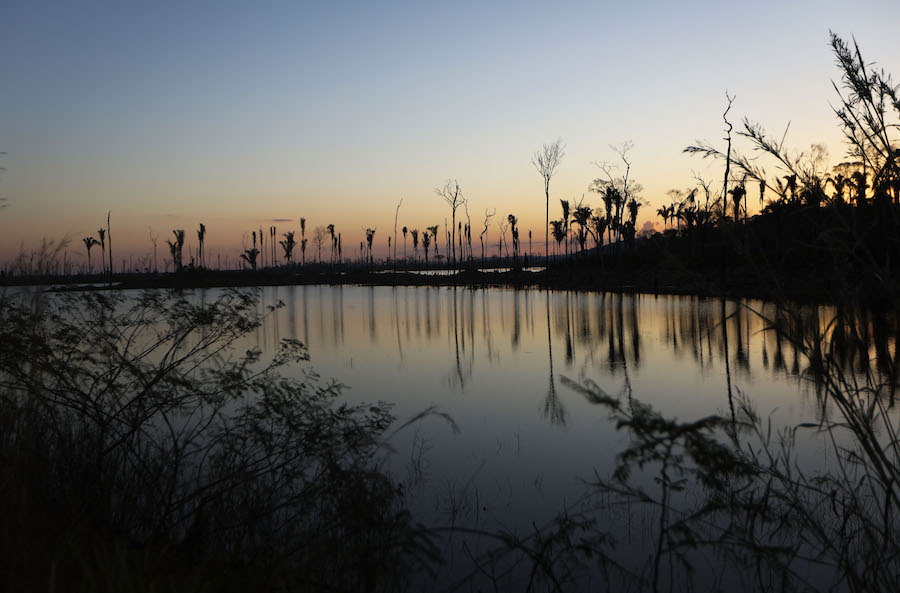 ¿Qué tan cerca está el Amazonas del colapso?