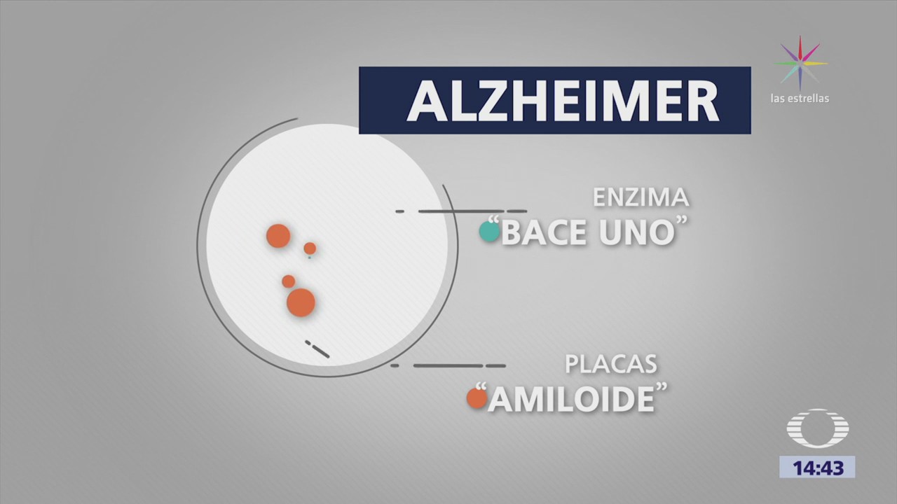 Descubren enzima contra el Alzheimer