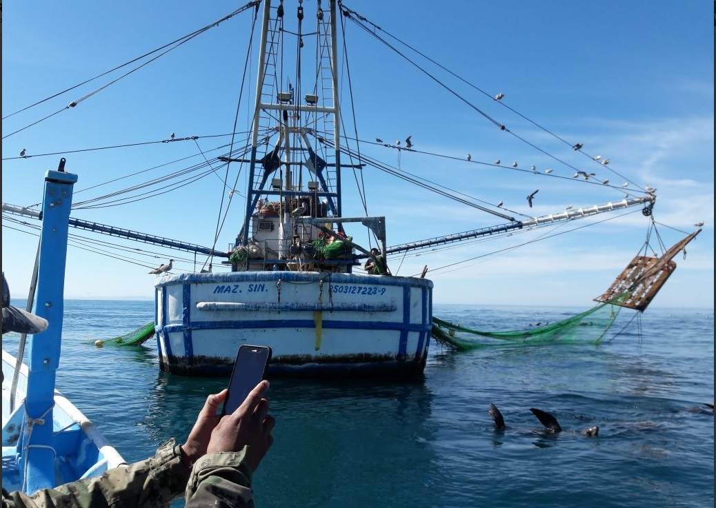Profepa asegura embarcación camaronera por pesca ilegal en BC