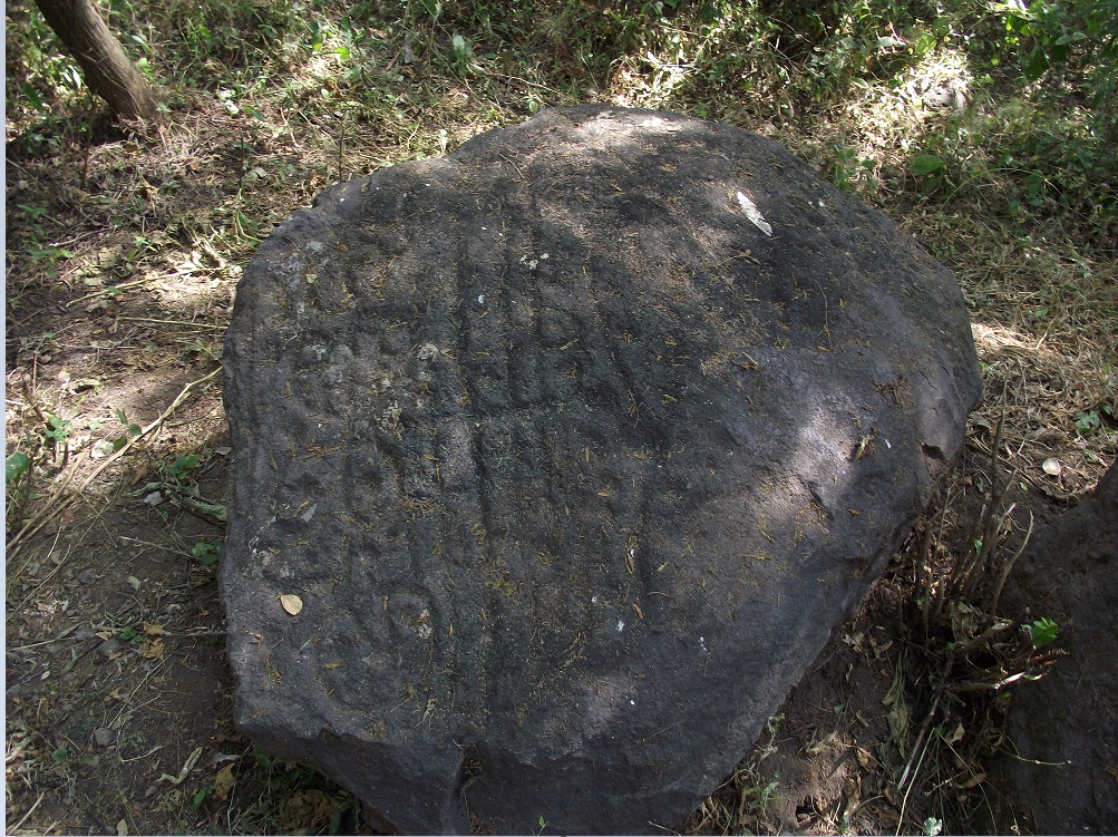 encuentran petroglifos en la zona arquologica la campana colima