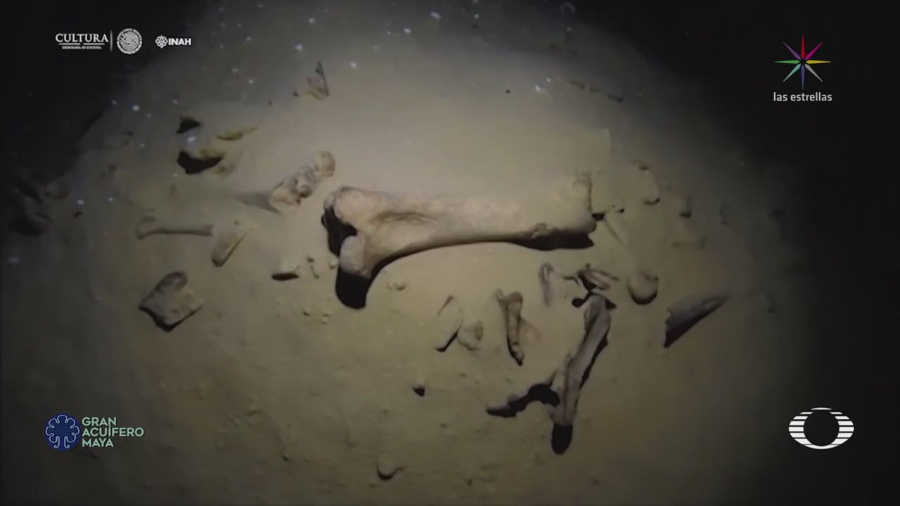 Encuentran restos humanos y de animales en Sac Actun