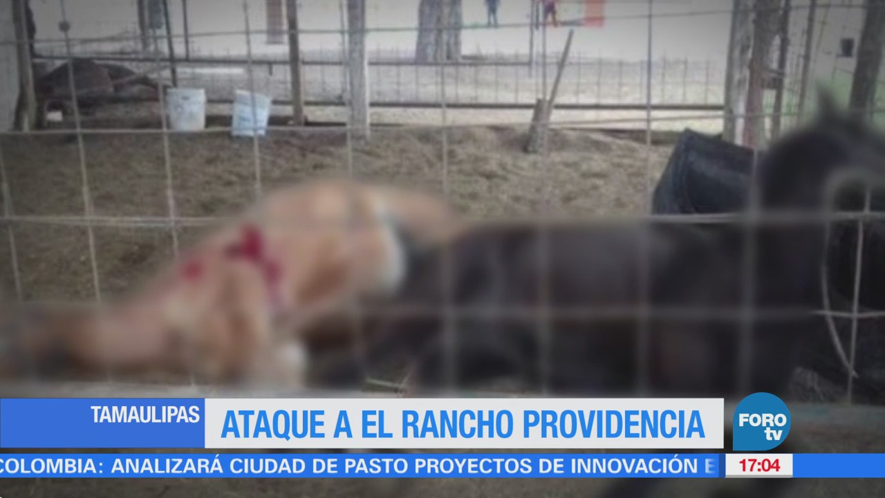 Atacan Rancho Providencia Tamaulipas Atacado El Rancho Providencia