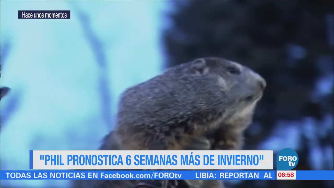 La marmota ‘Phil’ pronostica seis semanas más de invierno en EU