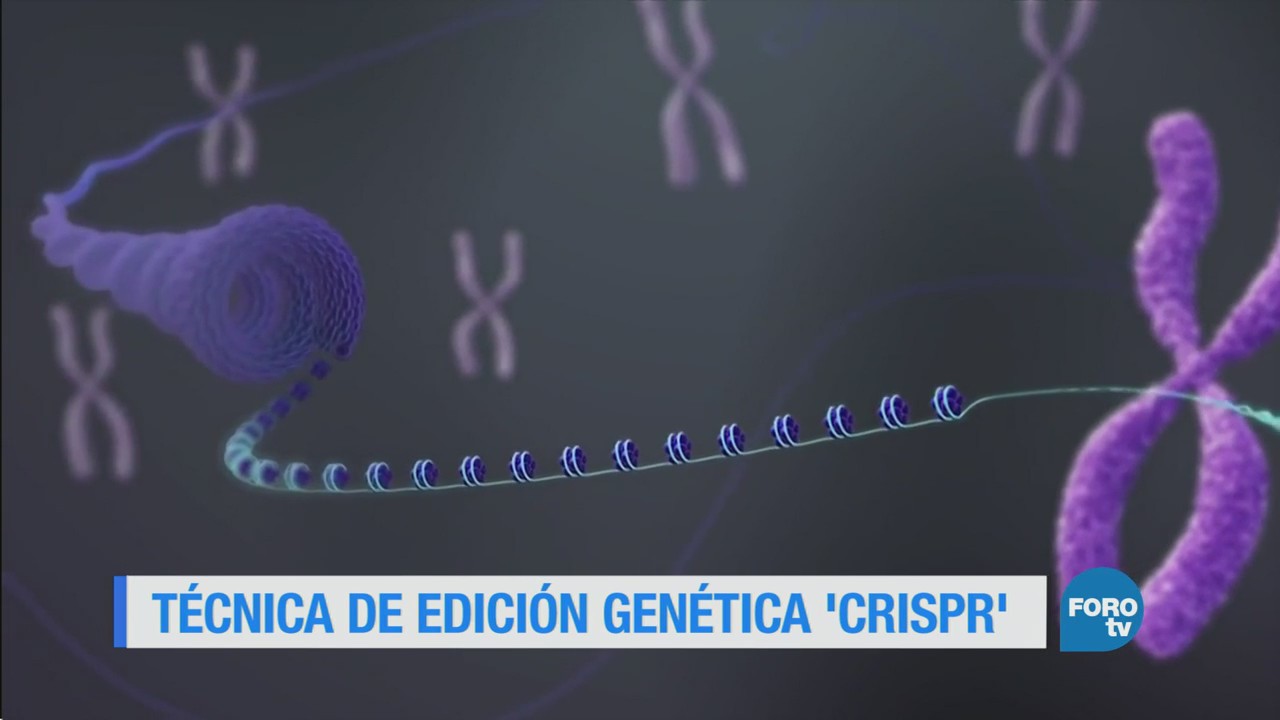 La técnica de edición genética CRISPR