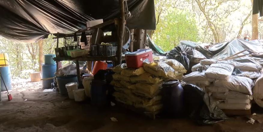 Ejército asegura laboratorio clandestino de drogas en Tecalitlán, Jalisco