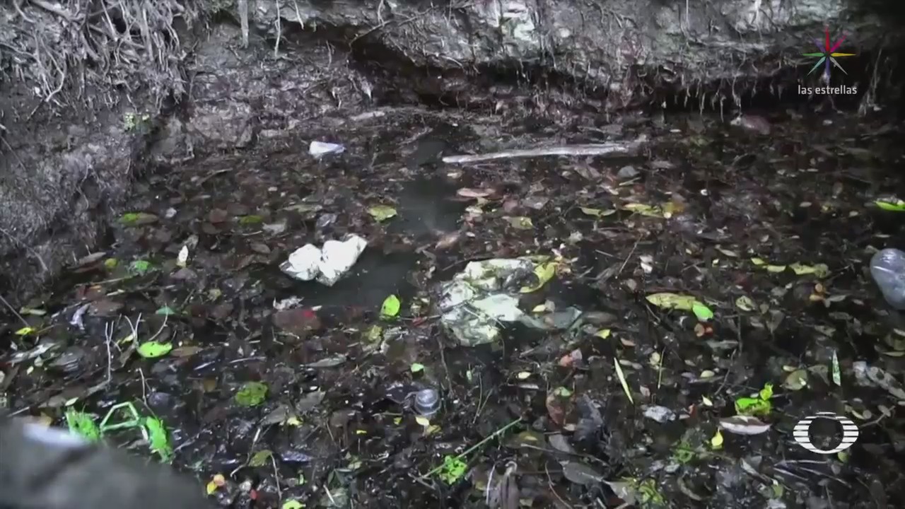Limpian el cenote Zazil Há en Yucatán