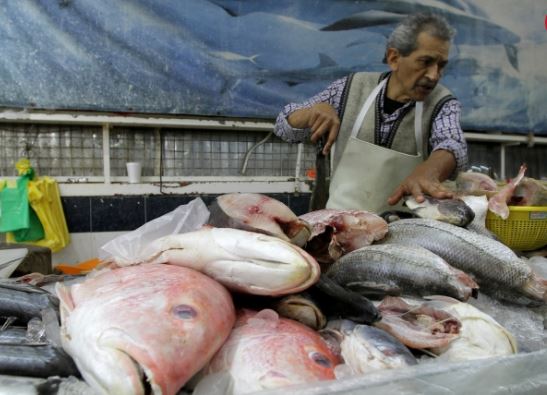 Hidalgo garantiza producción y calidad de pescado durante la época de cuaresma