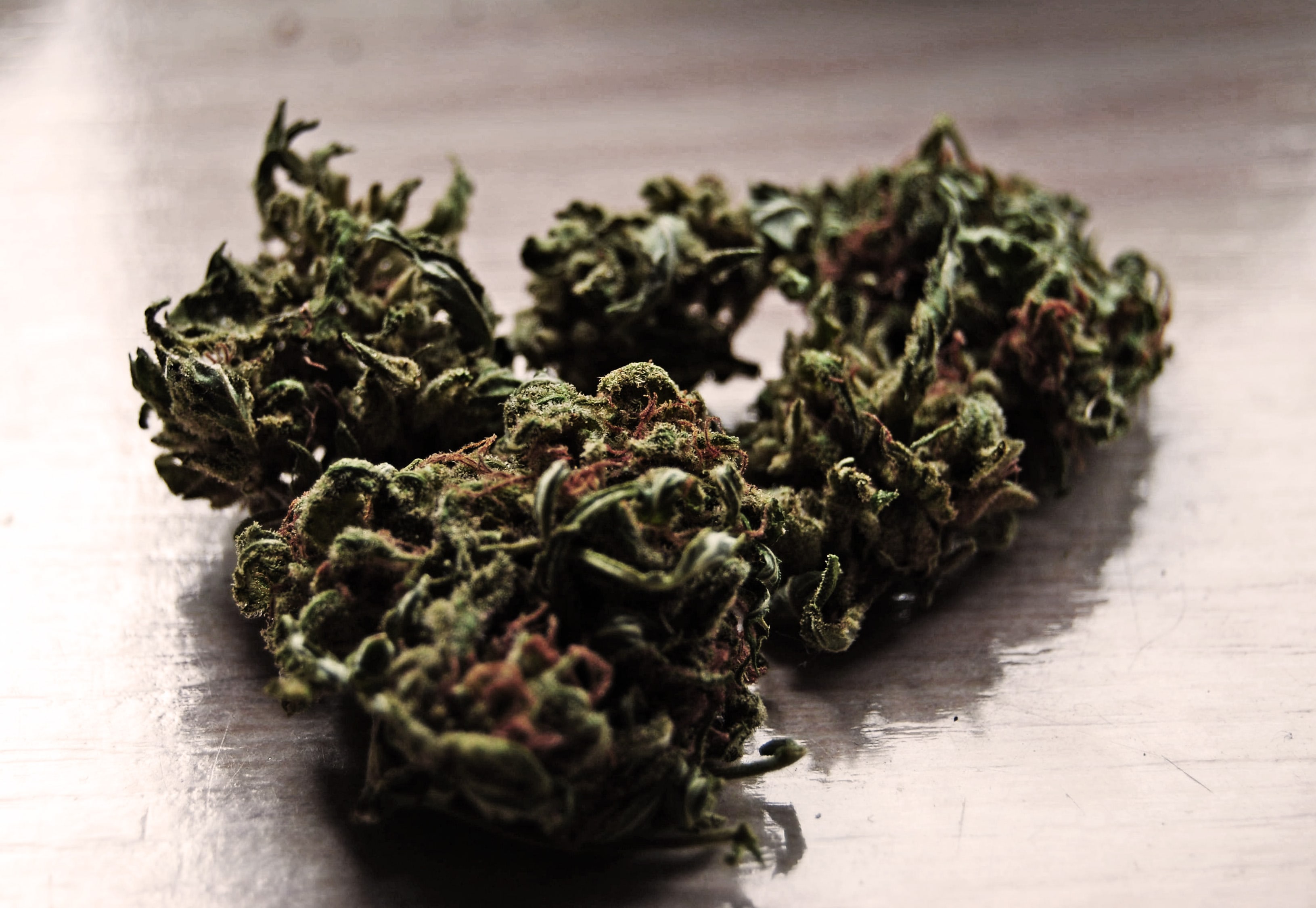 planta-marihuana-mota-mariguana-cannabis-oms