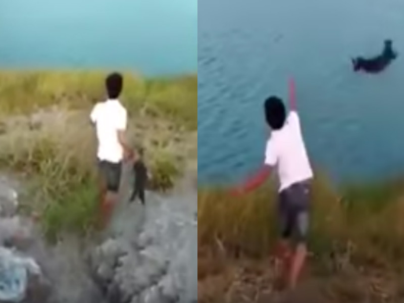 Video: Sujeto lanza a cachorro a lago infestado de cocodrilos