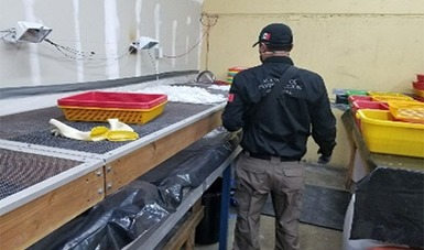 Asegura PGR en Baja California más de 740 kilos de metanfetamina