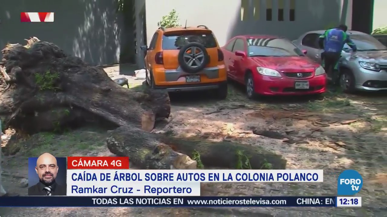 Cae Árbol Sobre Autos Lamartine Tres Picos Polanco