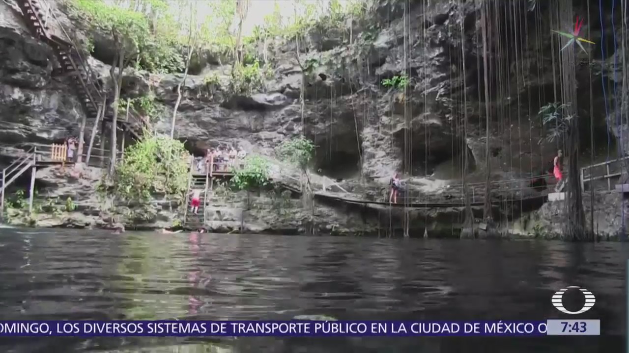 Cenote Culebra Del Árbol Maravilla Natural Yucatán