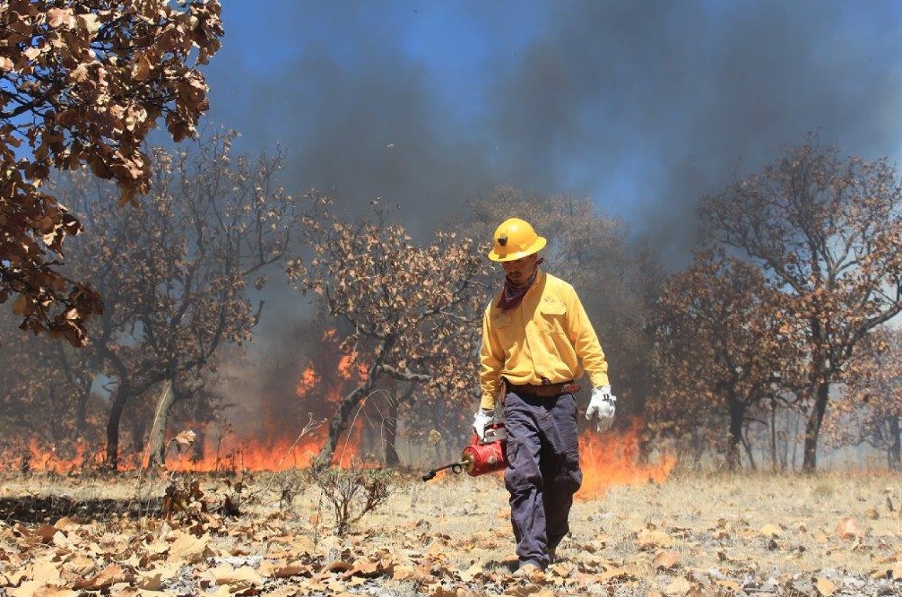 Alerta en Sonora por aumento de incendios forestales