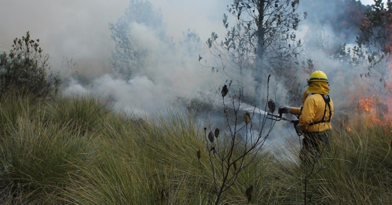 combaten incendios en Huitzilac y Tlalnepantla morelos