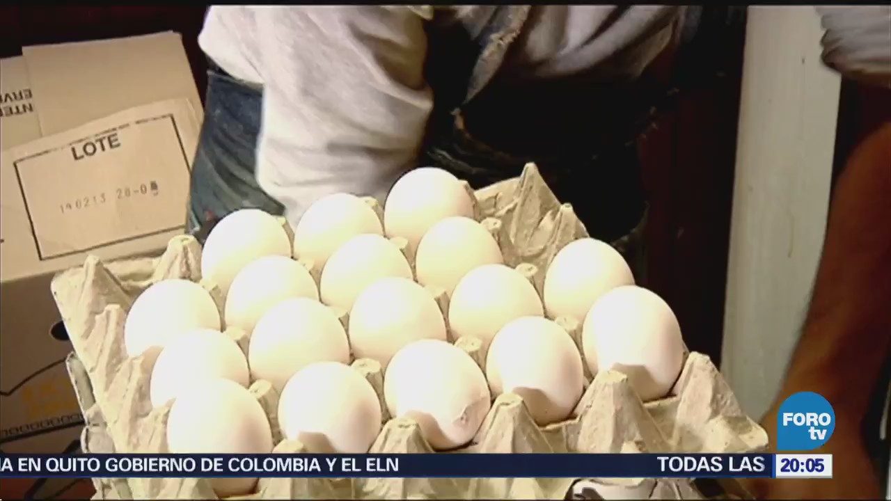 Descartan riesgo para el huevo tras hallazgo de influenza aviar