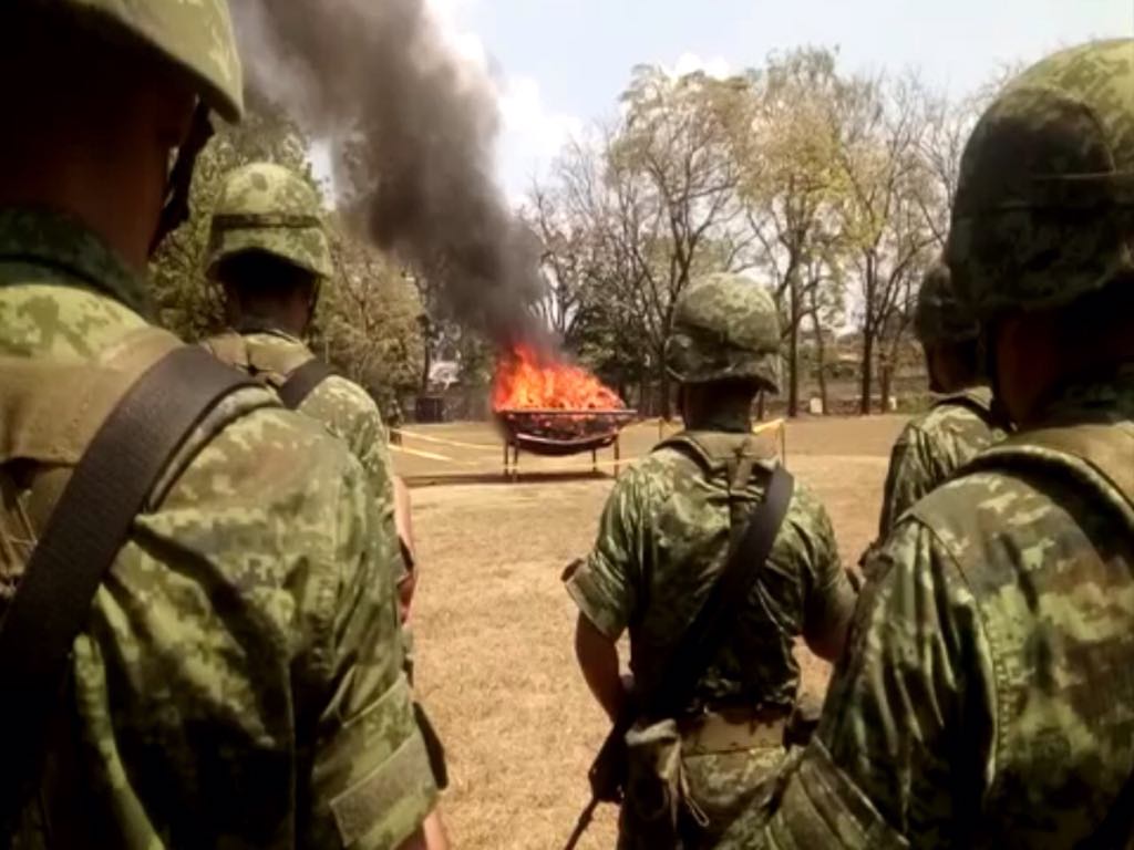Incineran más de una tonelada de marihuana en Tapachula, Chiapas