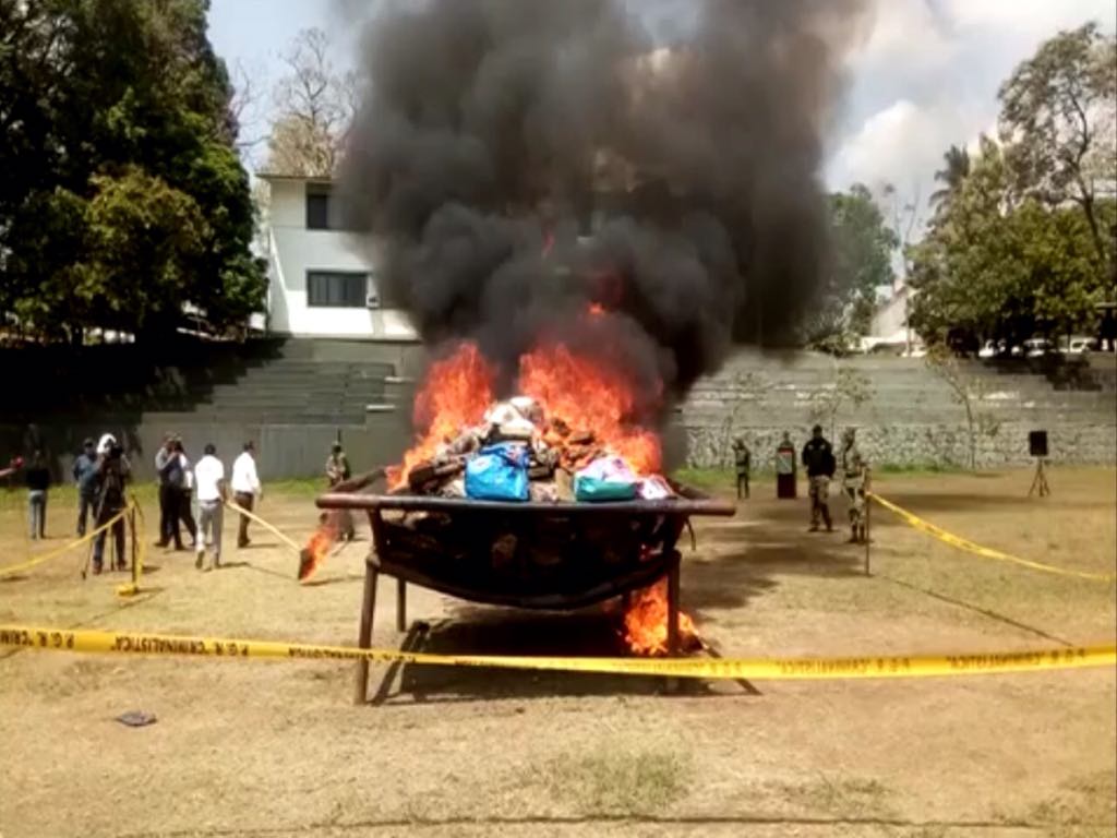 Incineran más de una tonelada de marihuana en Tapachula, Chiapas