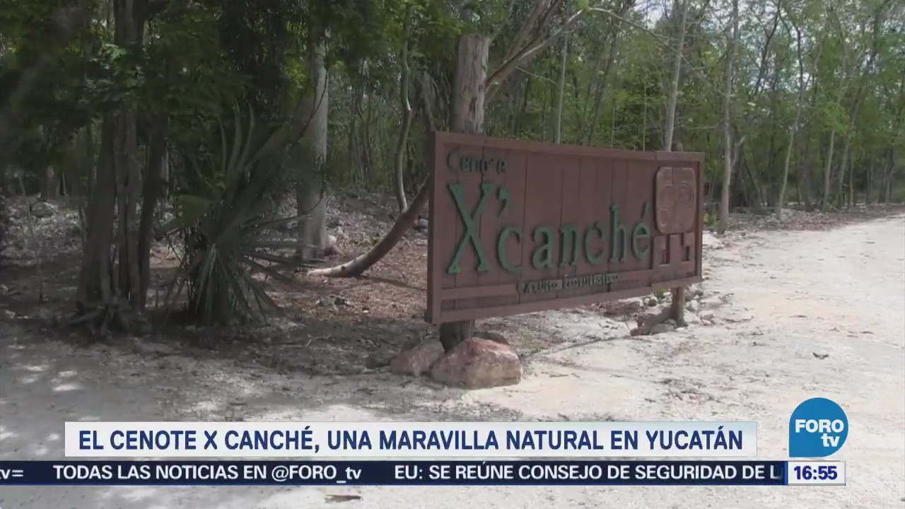 El Cenote X’Canché, una maravilla natural en Yucatán