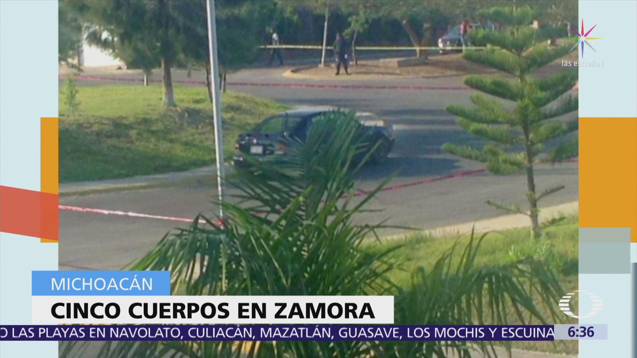 Encuentran 5 cadáveres en auto abandonado en Michoacán
