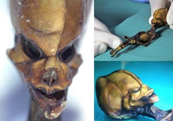 Revelan misterio esqueleto alienígena Atacama Chile