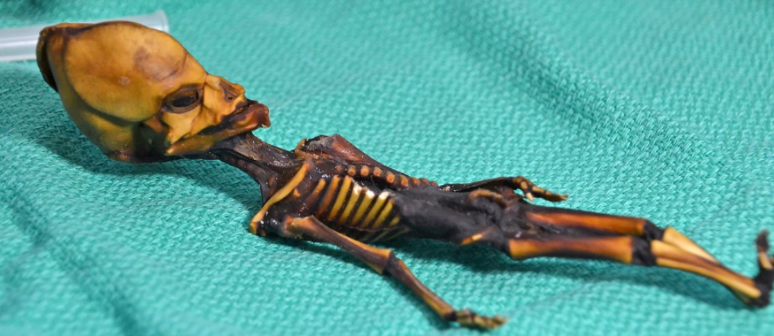 Revelan misterio del esqueleto 'alienígena' de Atacama
