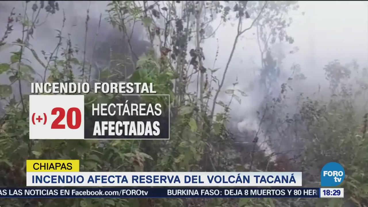 Incendio Pone Riesgo Reserva Volcán Tacaná Chiapas