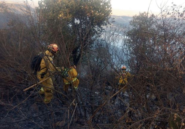 Incendios forestales afectan zonas serranas de Guanajuato