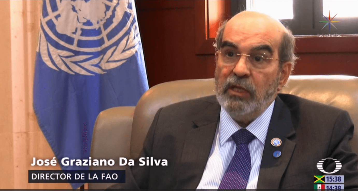 FAO: Difícil evaluar la situación alimentaria de Venezuela