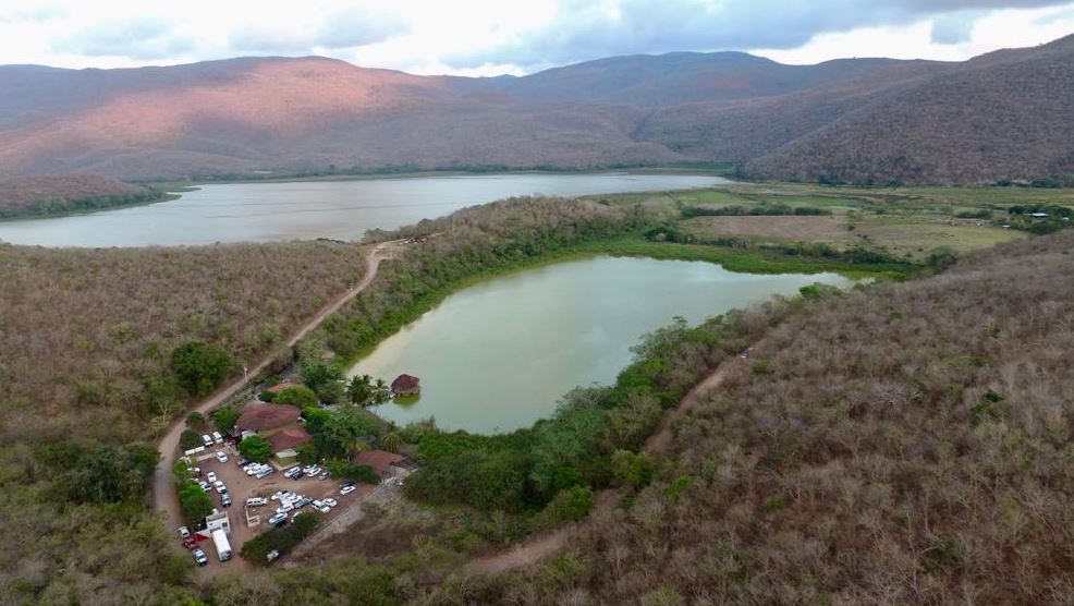 Laguna ‘La Colorada’, nuevo santuario de cocodrilos en Colima