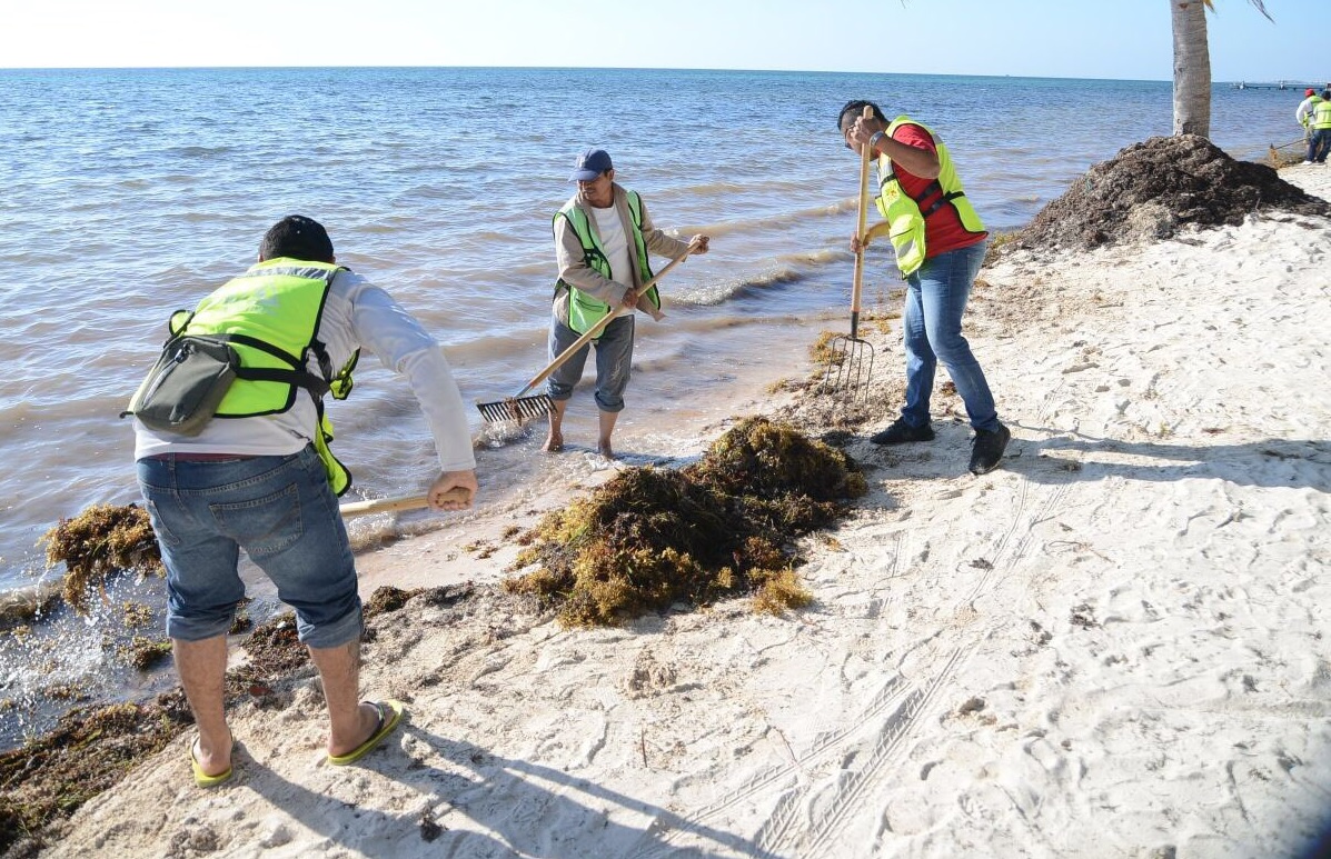 Limpian playas de Cancún para próximo periodo vacacional
