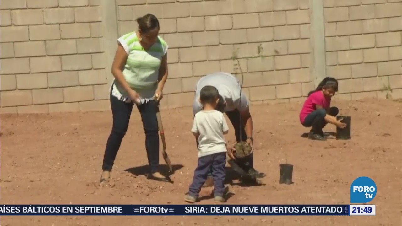 Niños participan en jornada de reforestación en Guaymas, Sonora