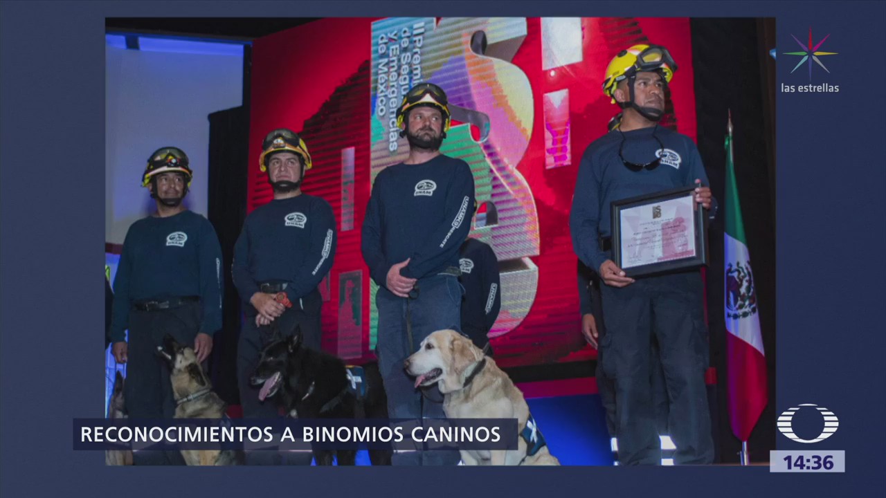 Reconocen Binomios Caninos Secretarías De Defensa Nacional Marina, Unam