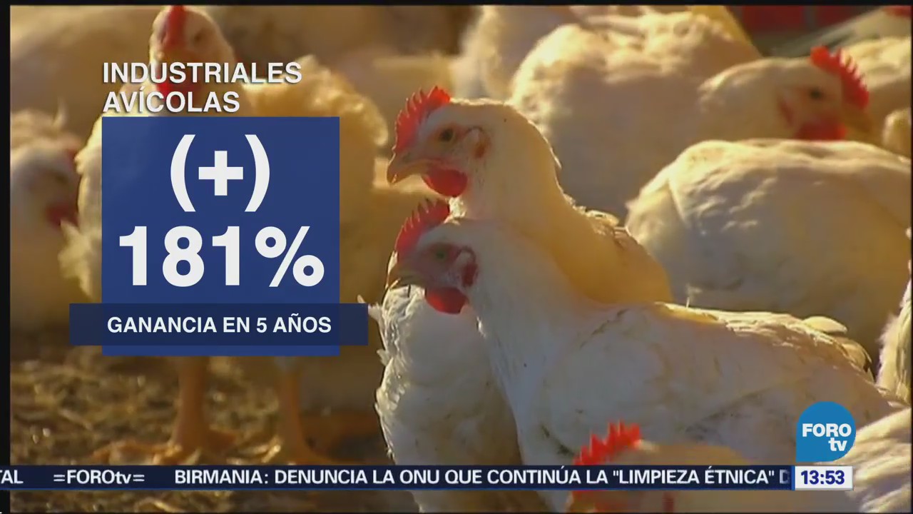 Sector Agropecuario Repunta Bolsa Mexicana Valores