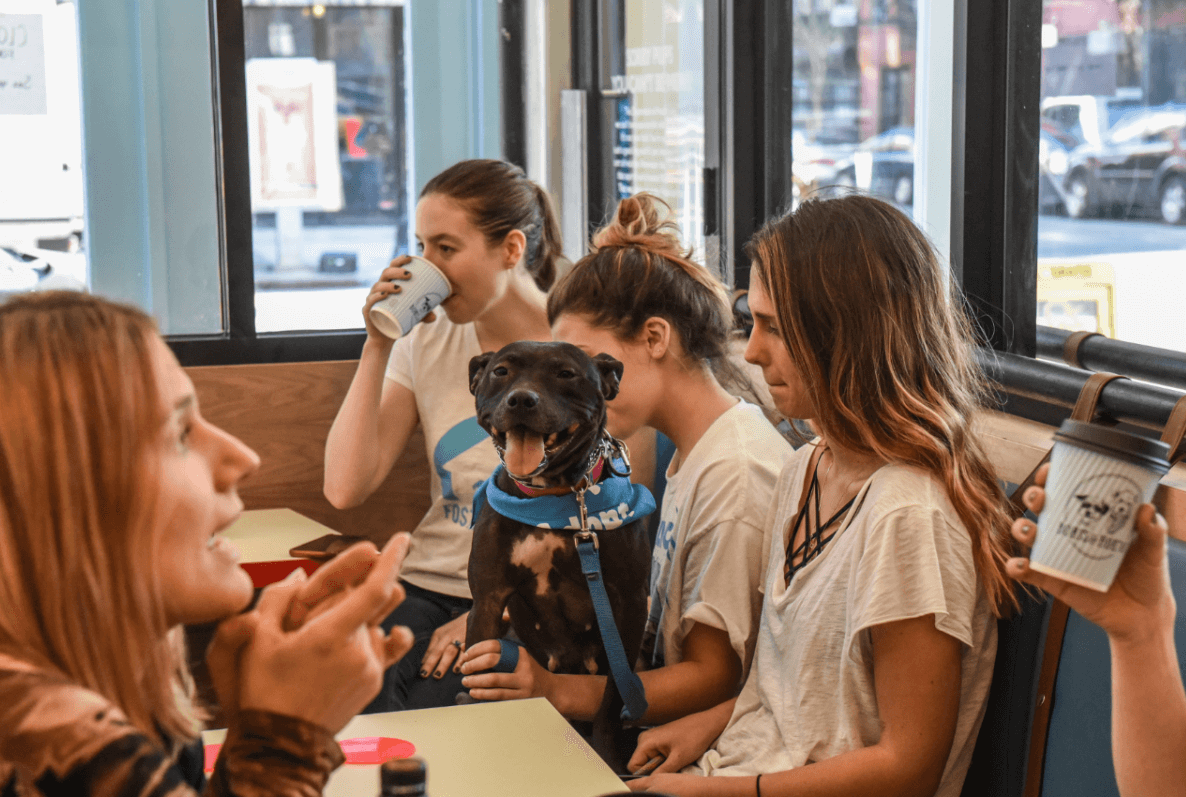Cafetería para perros y dueños en Nueva York