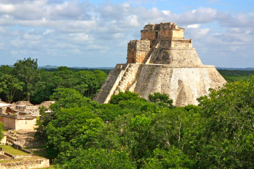 INAH descubre plantas medicinales en zona arqueológica de Uxmal, Yucatán
