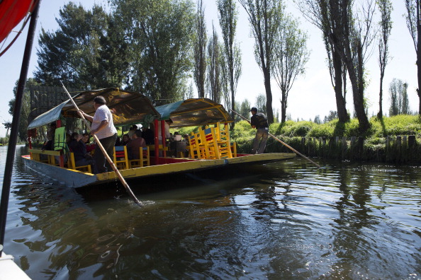 La vida cambia por un momento en los canales de Xochimilco