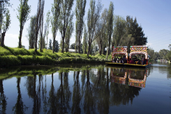Realizan acciones de mantenimiento en canales y zona chinampera de Xochimilco