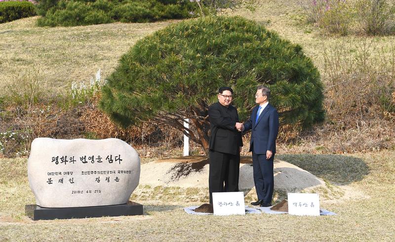 Kim y Moon plantan un árbol en una simbólica ceremonia