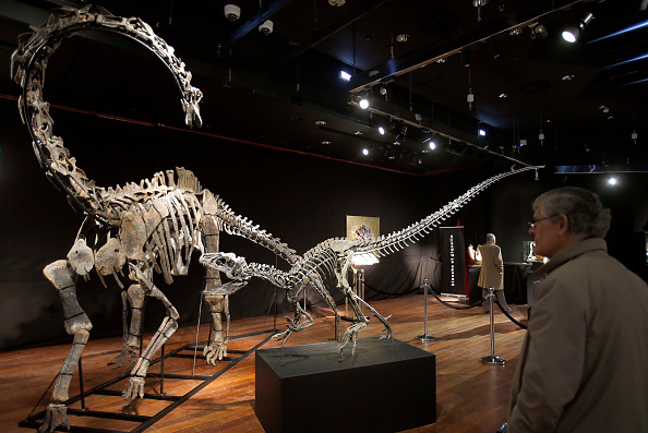Pagan 3.46 mdd por dos esqueletos de dinosaurio en subasta en París