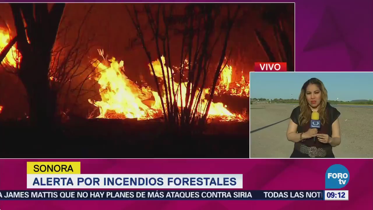 Alerta por incendios forestales en Sonora