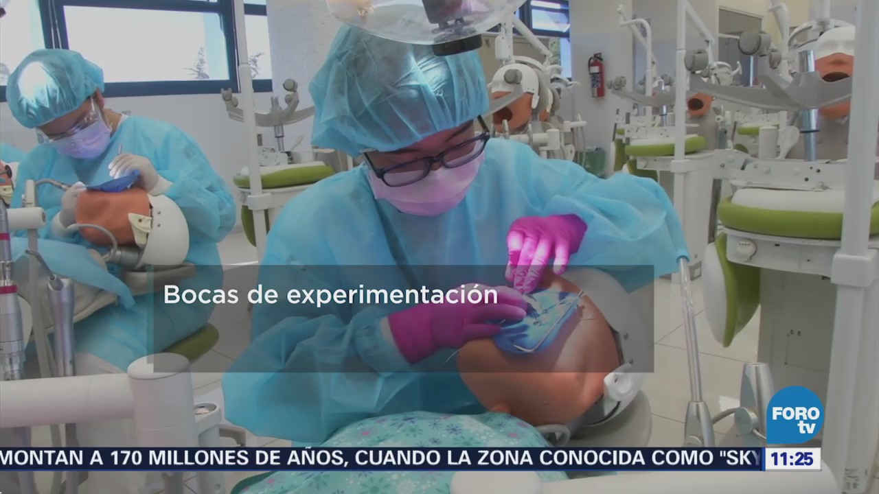 Alumnos Odontología Unam Practican Maniquíes