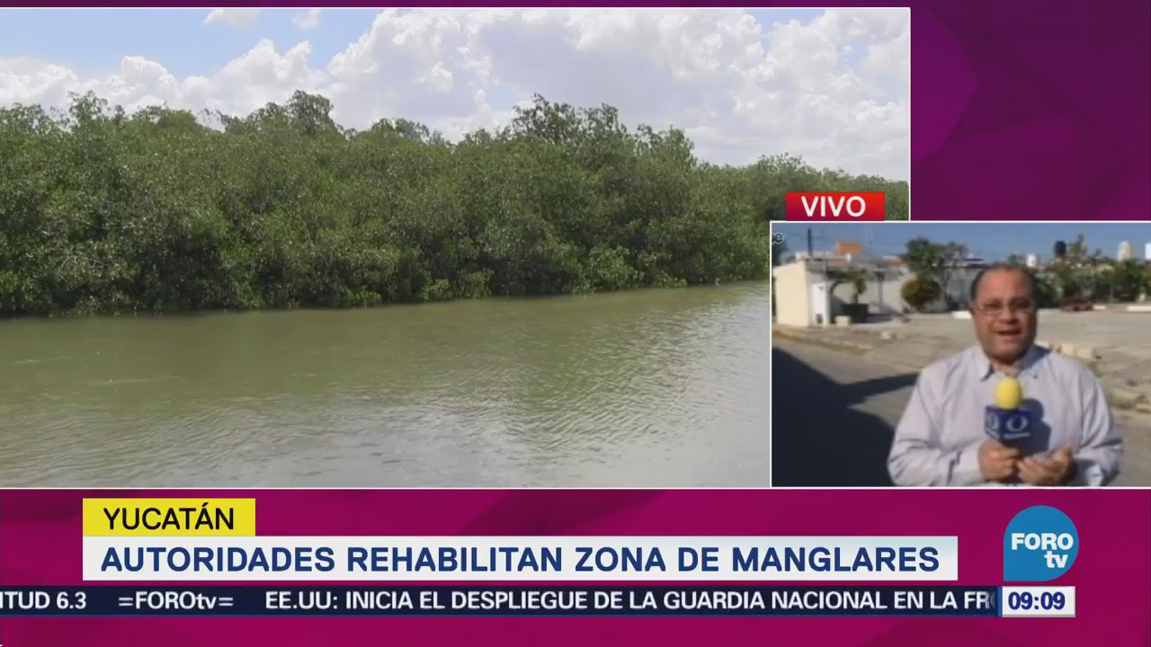 Autoridades Rehabilitan Zona Manglares Yucatán