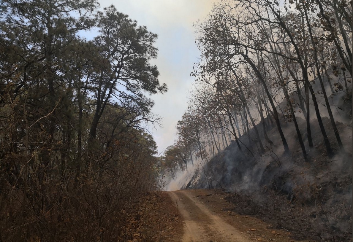 Controlan incendio en EL Bosque de la Primavera; reanudan clases