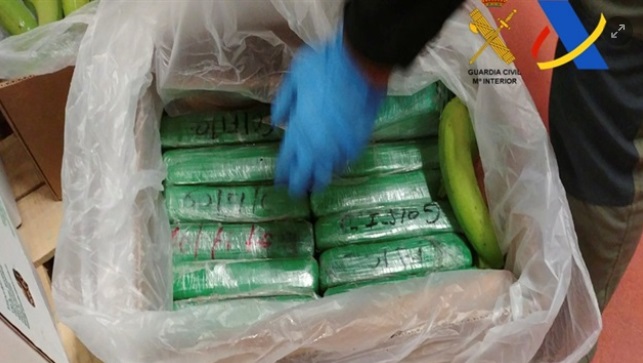 España incauta contrabando récord de cocaína en Europa entre cajas de plátanos