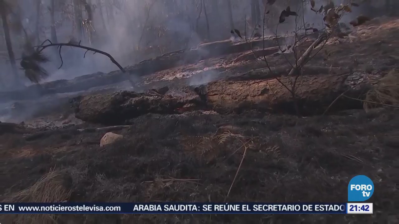 Controlan Incendio Reserva Ecológica Valle Bravo