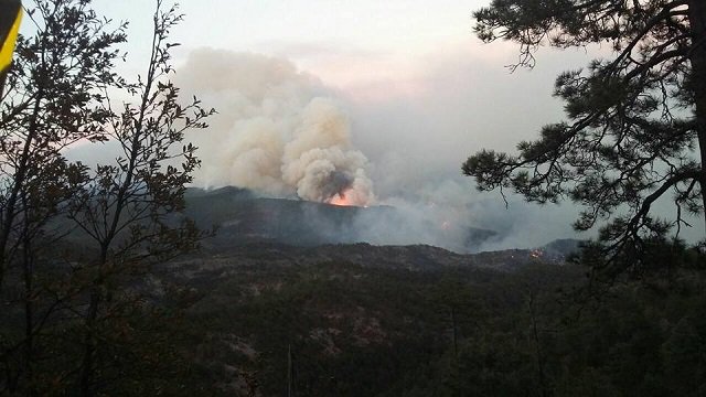 Autoridades combaten incendio forestal en sierra de Chihuahua