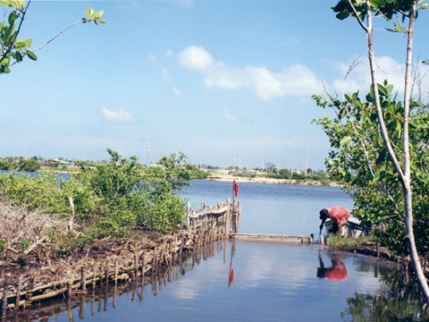 El Corchito reserva ecológica en Yucatán