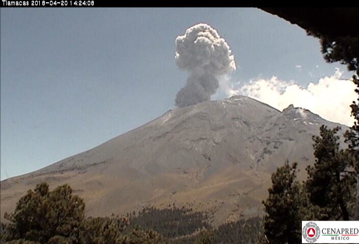 Popocatépetl registra 57 exhalaciones y 5 explosiones en últimas 24 horas