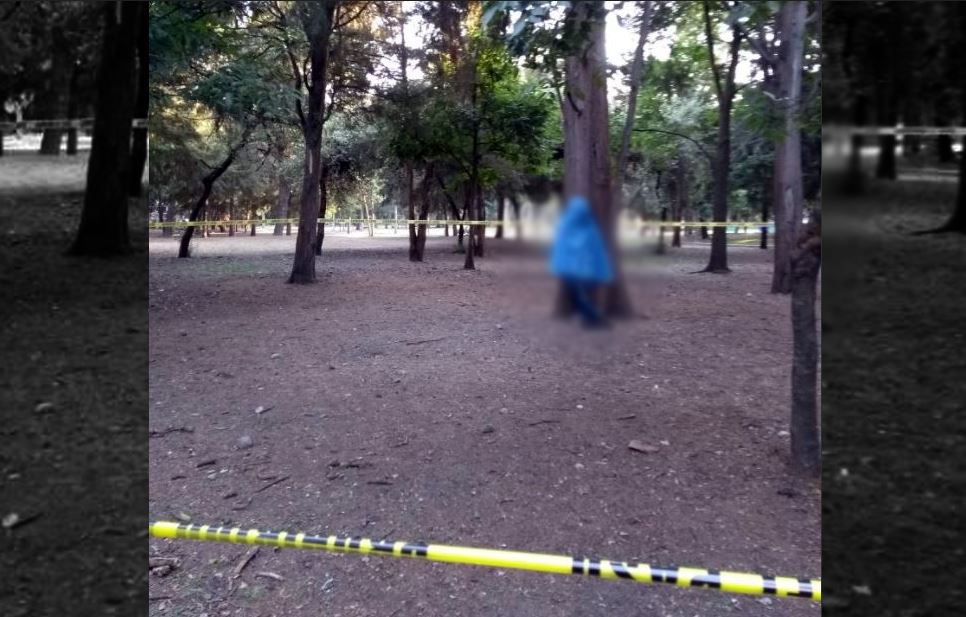 Encuentran cuerpo de joven colgado de un árbol en Bosque de Chapultepec